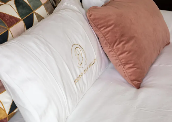 度假居 Douro Sky Valley - Private