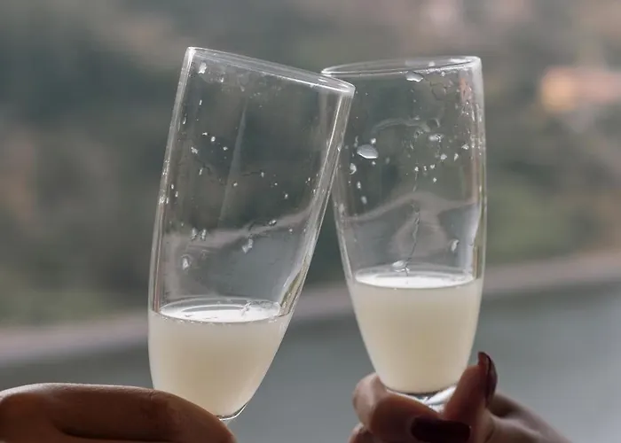 Douro Sky Valley - Private 度假居 *