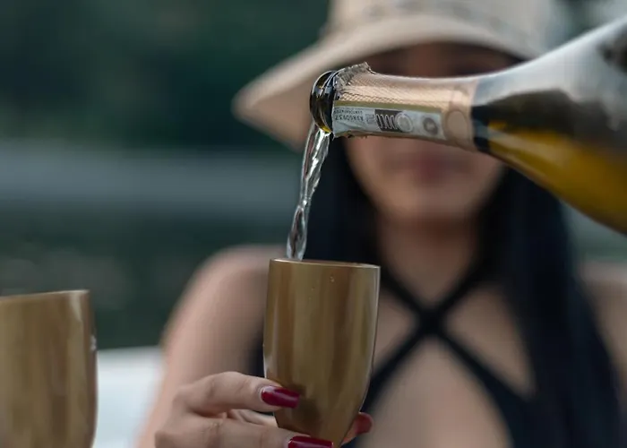 度假居 Douro Sky Valley - Private